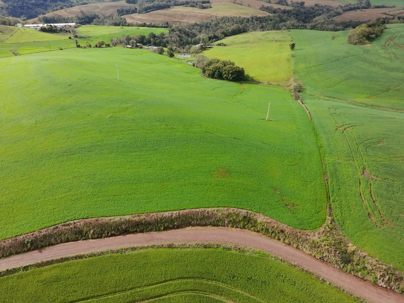 ÁREA DE TERRA NA LINHA TESOURA !!!!: 11ª foto da galeria de imagens do imóvel