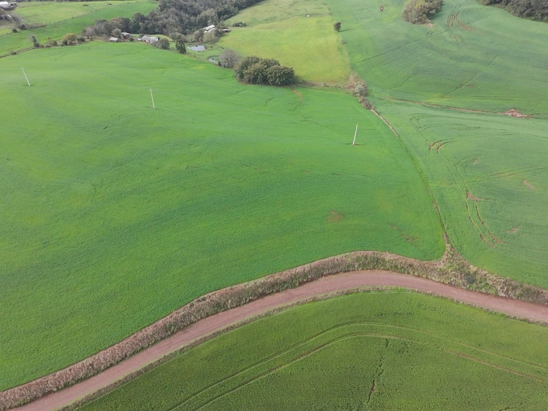 ÁREA DE TERRA NA LINHA TESOURA !!!!: 4ª foto da galeria de imagens do imóvel
