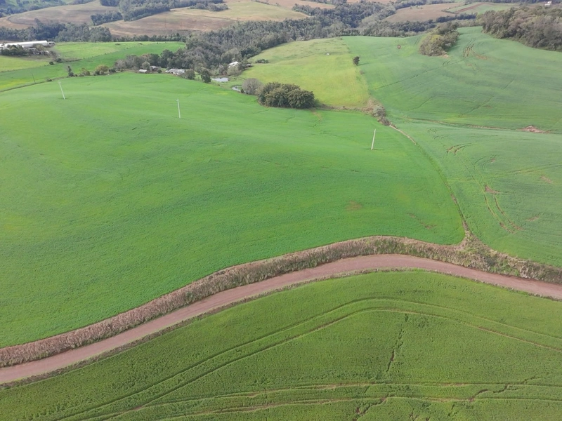 ÁREA DE TERRA NA LINHA TESOURA !!!!: 6ª foto da galeria de imagens do imóvel