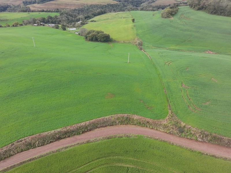 ÁREA DE TERRA NA LINHA TESOURA !!!!: 9ª foto da galeria de imagens do imóvel