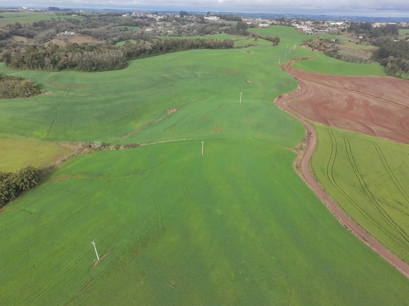 ÁREA DE TERRA NA LINHA TESOURA !!!!: 7ª foto da galeria de imagens do imóvel