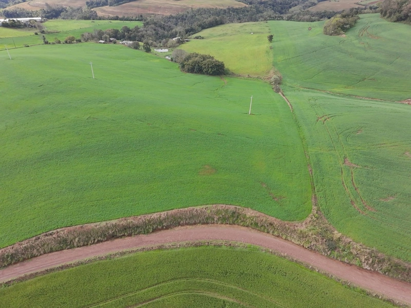 ÁREA DE TERRA NA LINHA TESOURA !!!!: 10ª foto da galeria de imagens do imóvel