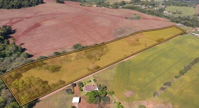 VENDE- SE ÁREA DE TERRA NA LINHA CIOTE !!!: 4ª foto da galeria de imagens do imóvel