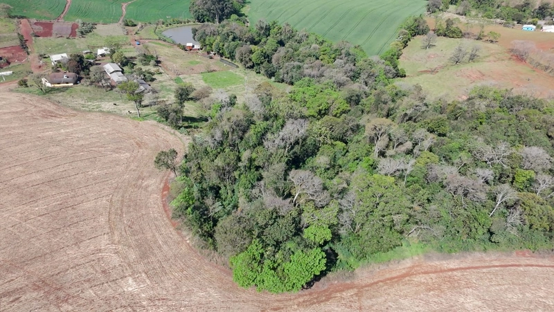 OPORTUNIDADE PARA VOCÊ QUE PROCURA UM SÍTIO PRÓXIMO DA CIDADE!: 12ª foto da galeria de imagens do imóvel