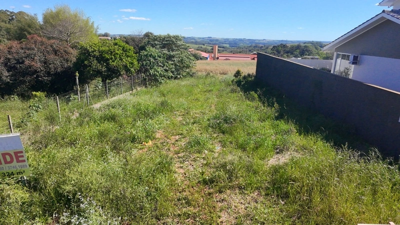 VENDE-SE TERRENO EM SEBERI !: 7ª foto da galeria de imagens do imóvel