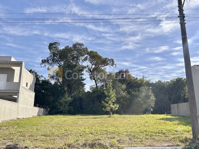 Terreno plano pronto para construir: 1ª foto da galeria de imagens do imóvel