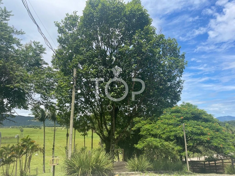 CHÁCARA / SÍTIO ALTO PADRÃO EM PORTO BELO : 28ª foto da galeria de imagens do imóvel