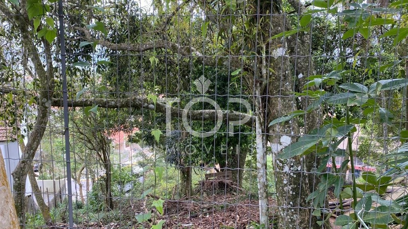 LINDO LOTE VISTA MAR: 7ª foto da galeria de imagens do imóvel