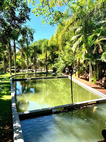 LINDO SÍTIA / ÁREA RURAL NO TIMBÉ EM TIJUCAS - SC !!!: 14ª foto da galeria de imagens do imóvel