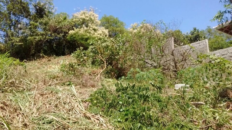Terreno em Ilhota: 2ª foto da galeria de imagens do imóvel