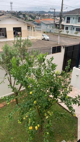 CASA SEMI MOBILIADA NA SERRA CATARINENSE: 15ª foto da galeria de imagens do imóvel