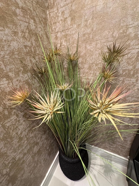 Finamente mobiliado, 120m do mar, em Porto Belo: 18ª foto da galeria de imagens do imóvel