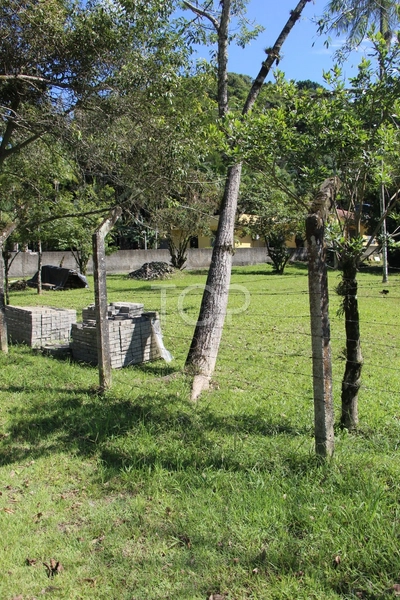 SÍTIO EM ITAPEMA: 9ª foto da galeria de imagens do imóvel