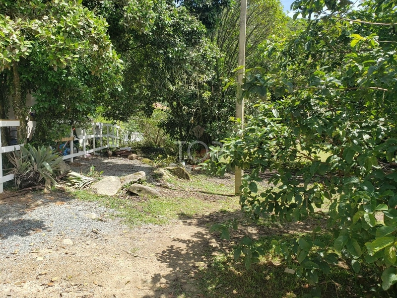 SÍTIO EM ITAPEMA: 6ª foto da galeria de imagens do imóvel