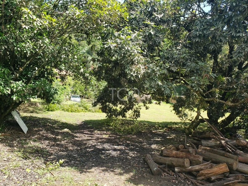 SÍTIO EM ITAPEMA: 5ª foto da galeria de imagens do imóvel