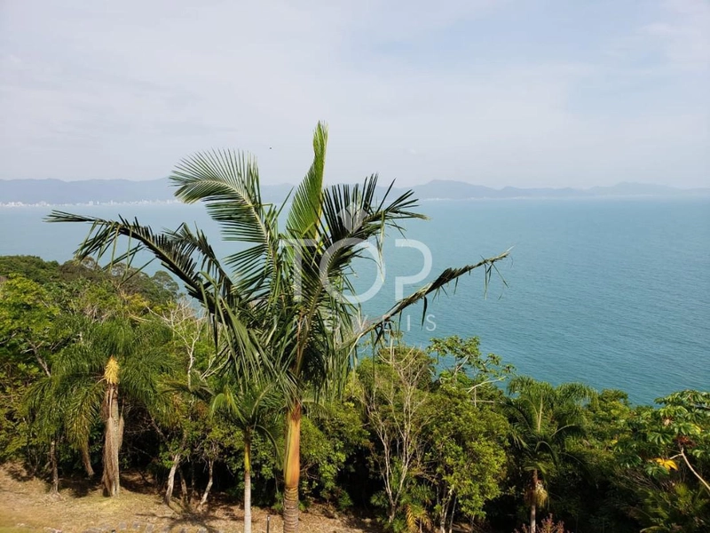 INCRÍVEL MANSÃO NO MORRO DO CAIXA D`AÇO: 42ª foto da galeria de imagens do imóvel