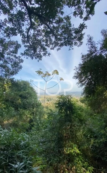 LINDO SITIO A 20 MINUTOS DE ITAPEMA SC: 2ª foto da galeria de imagens do imóvel