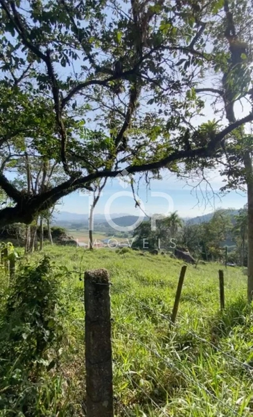 LINDO SITIO A 20 MINUTOS DE ITAPEMA SC: 4ª foto da galeria de imagens do imóvel