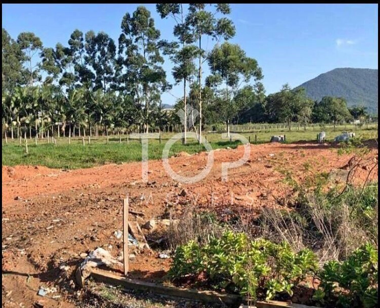BARBADA TERRENO NO SERTÃO DO TROMBUDO: 1ª foto da galeria de imagens do imóvel