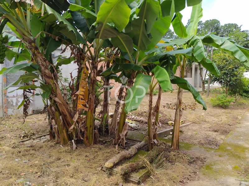 TERRENO SUPER BEM LOCALIZADO - ITAPEMA: 6ª foto da galeria de imagens do imóvel