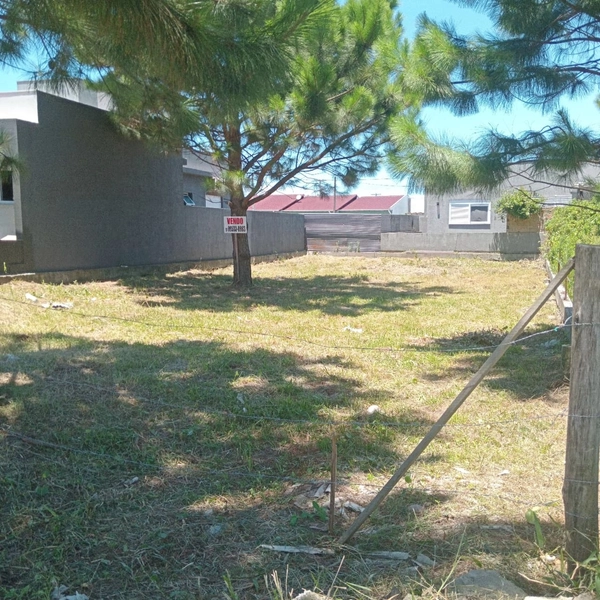 TERRENO NO NOVA GUARANI | 275M² | PRONTO P/ CONSTRUIR !: 7ª foto da galeria de imagens do imóvel