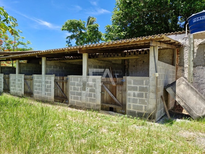 Sítio à venda em Conceição de Macabu -RJ: 6ª foto da galeria de imagens do imóvel
