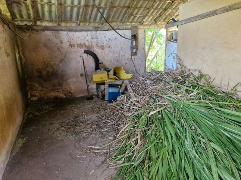 Sítio à venda em Conceição de Macabu -RJ: 9ª foto da galeria de imagens do imóvel