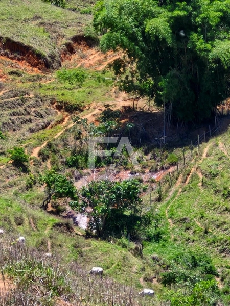 Sítio à venda em Conceição de Macabu -RJ: 8ª foto da galeria de imagens do imóvel