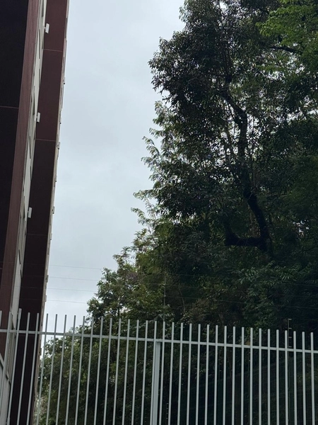 : 23ª foto da galeria de imagens do imóvel