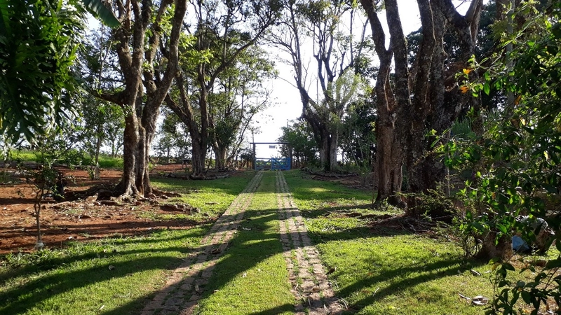 Propriedade Rural à Venda – Bairro Passa Três - Tuiuti/SP: 1ª foto da galeria de imagens do imóvel