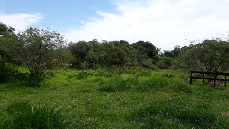 Propriedade Rural à Venda – Bairro Passa Três - Tuiuti/SP: 8ª foto da galeria de imagens do imóvel