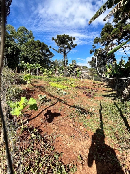 Chácara à venda – Penha – Bragança Paulista/SP: 7ª foto da galeria de imagens do imóvel