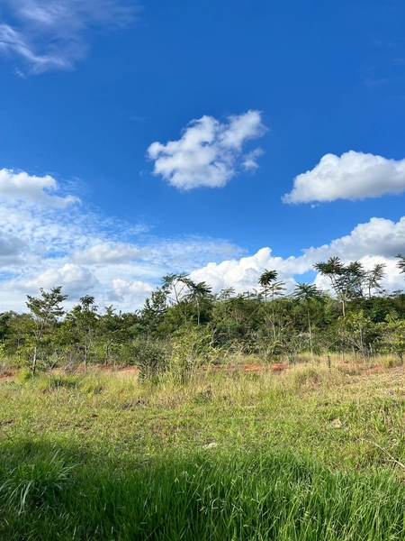 Terreno à venda – Condomínio Ile de France – Bragança Paulista/SP: 5ª foto da galeria de imagens do imóvel