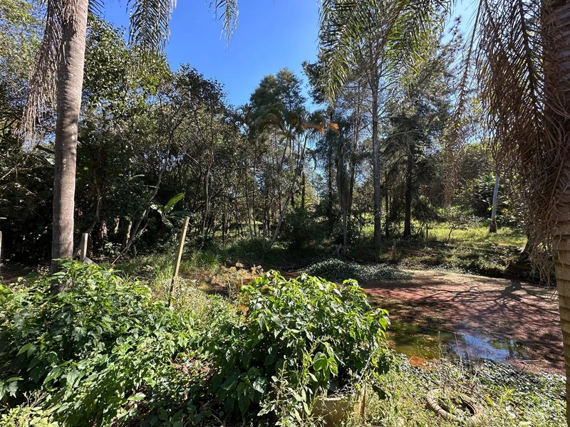 Terreno à venda – Biriça do Campinho – Bragança Paulista/SP: 2ª foto da galeria de imagens do imóvel