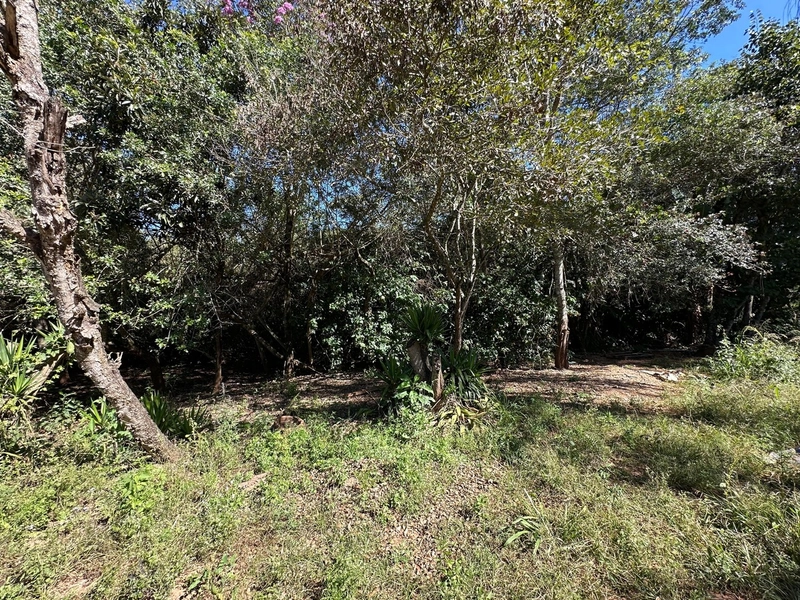 Terreno à venda – Biriça do Campinho – Bragança Paulista/SP: 3ª foto da galeria de imagens do imóvel