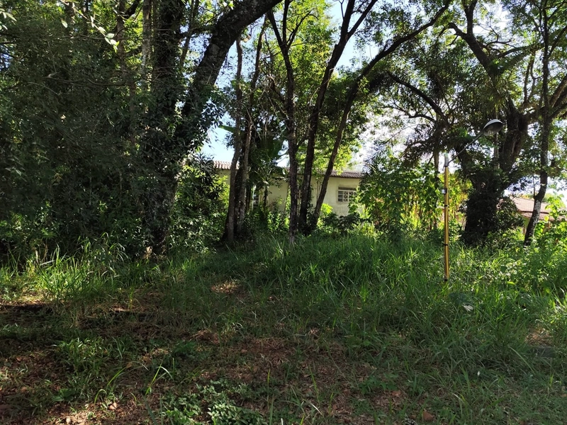 Chácara à venda – Bairro do Couto – Bragança Paulista/SP: 10ª foto da galeria de imagens do imóvel