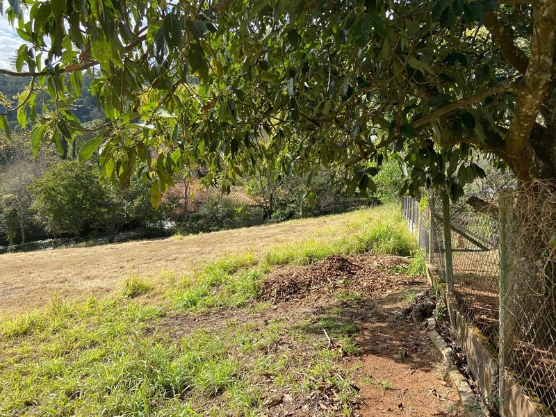 Terreno à venda – Jardim das Palmeiras – Bragança Paulista/SP: 11ª foto da galeria de imagens do imóvel