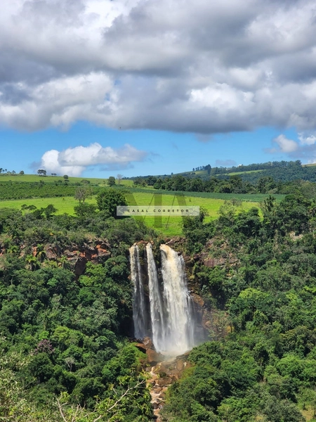 Sítio na cidade de Timburi: 8ª foto da galeria de imagens do imóvel