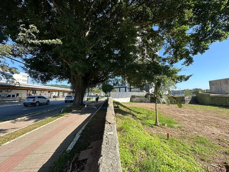 Terreno no contorno Sul em Itajaí: 6ª foto da galeria de imagens do imóvel