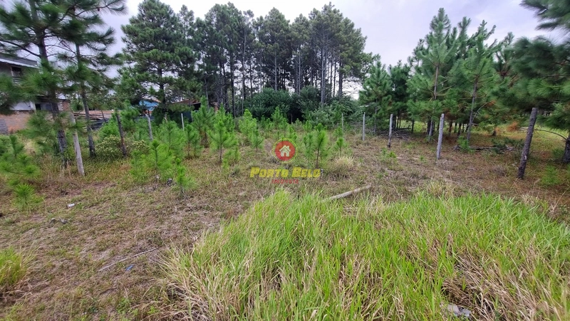 TERRENO ESCRITURADO COM CONDIÇÕES FACILITADAS: 3ª foto da galeria de imagens do imóvel