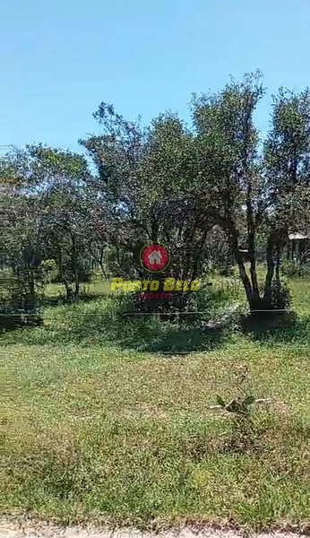 Terreno Próximo a lagoa: 4ª foto da galeria de imagens do imóvel
