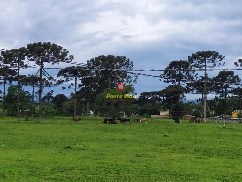 ÓTIMO SOBRADO EM PIRAQUARA/PR: 32ª foto da galeria de imagens do imóvel
