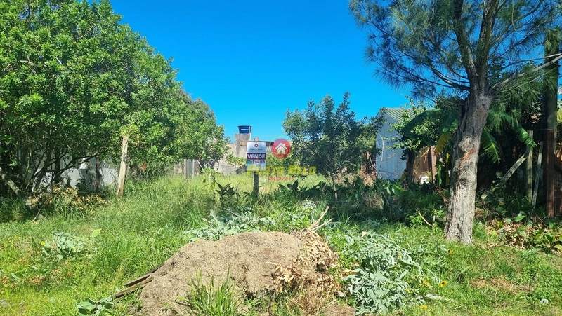 TERRENO EM ÓTIMA LOCALIZAÇÃO EM MARIÁPOLIS À VENDA, CONFIRA!!!: 3ª foto da galeria de imagens do imóvel