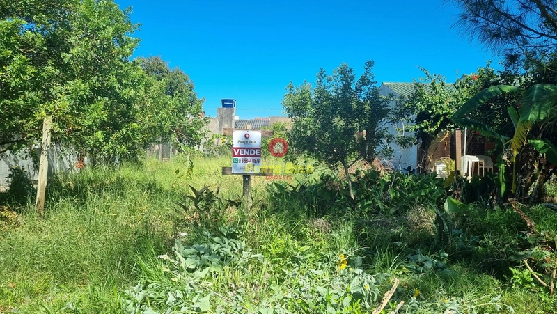 TERRENO EM ÓTIMA LOCALIZAÇÃO EM MARIÁPOLIS À VENDA, CONFIRA!!!: 2ª foto da galeria de imagens do imóvel
