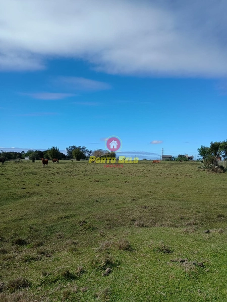 Chácara no Palmital OPORTUNIDADE!!!: 8ª foto da galeria de imagens do imóvel