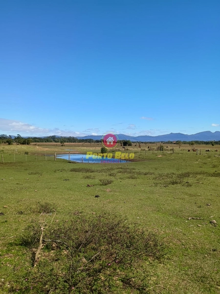 Chácara no Palmital OPORTUNIDADE!!!: 6ª foto da galeria de imagens do imóvel