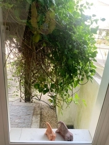 Casa à venda no condomínio Green Village: 15ª foto da galeria de imagens do imóvel