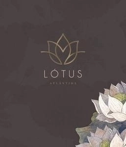 Terreno à venda no condomínio Lotus