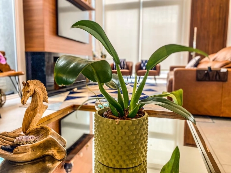 Casa à venda no condomínio Riviera: 25ª foto da galeria de imagens do imóvel