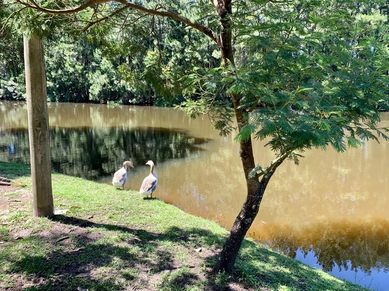 Casa à venda no condominio Carmel: 27ª foto da galeria de imagens do imóvel